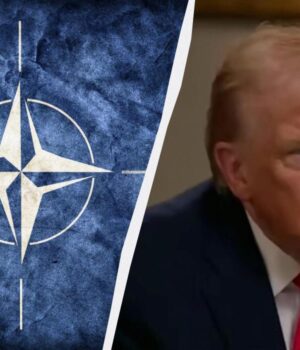 “Підривають-відносини”:-вісім-країн-НАТО-розкритикували-тарифний-шантаж-Трампа