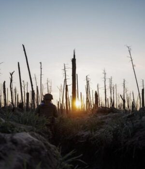 Війна-знищила-унікальний-ліс-на-Донбасі,-і-відродити-його-вже-неможливо,-–-науковець