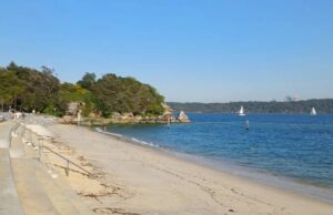 В Австралії акула напала на 12-річного хлопчика: сітка для захисту могла не спрацювати В-Австралії-акула-напала-на-12-річного-хлопчика:-сітка-для-захисту-могла-не-спрацювати