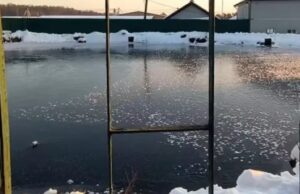 Відновилися, але не зовсім: що коїться з унікальними Оконськими джерелами на Волині Відновилися,-але-не-зовсім:-що-коїться-з-унікальними-Оконськими-джерелами-на-Волині