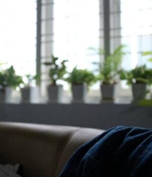 Шість-місць-у квартирі,-де ваші-рослини-приречені-на загибель:-не ставте-туди-вазони