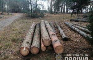 Схема на 400 тисяч: на Волині лісничий із помічником незаконно збували підприємцю ліс Схема-на-400-тисяч:-на-Волині-лісничий-із-помічником-незаконно-збували-підприємцю-ліс