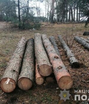 Схема-на-400-тисяч:-на-Волині-лісничий-із-помічником-незаконно-збували-підприємцю-ліс