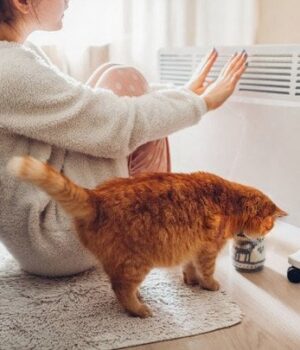 Коли-в Україні-покращиться-ситуація-зі світлом:-нардеп-озвучив-терміни