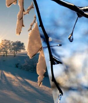 Морози-не-назавжди:-коли-в-Україну-прийде-потепління