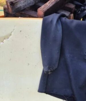 За-дві-доби-–-чотири-напади:-в-Австралії-акули-атакують-відпочивальників,-деякі-пляжі-закрили