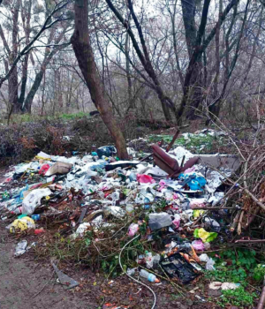 На-Волині-із-селищної-ради-стягнуть-пів-мільйона-за-стихійні-сміттєзвалища
