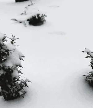 Синоптики повідомили, скільки ще тріщатимуть морози в Україні