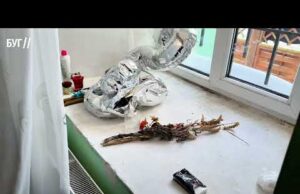 Що залишили після себе упц мп в Успенському соборі у Володимирі (ВІДЕО) Що залишили після себе упц мп в Успенському соборі у Володимирі (ВІДЕО)