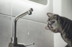 У Луцьку низка вулиць залишилась без води через аварію У-Луцьку-низка-вулиць-залишилась-без-води-через-аварію