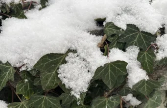 У низці областей України оголошено жовтий рівень небезпечності через туман У низці областей України оголошено жовтий рівень небезпечності через туман