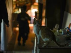 Світло зникає по всій країні: в уряді повідомили, де ситуація найкритичніша Світло-зникає-по-всій-країні:-в-уряді-повідомили,-де-ситуація-найкритичніша