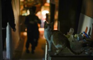 Світло зникає по всій країні: в уряді повідомили, де ситуація найкритичніша Світло-зникає-по-всій-країні:-в-уряді-повідомили,-де-ситуація-найкритичніша