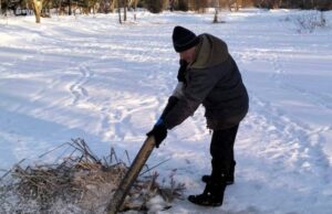 Як у Центральному парку в Луцьку рятують рибу Як-у-Центральному-парку-в-Луцьку-рятують-рибу