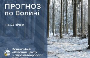 Якою буде погода у Луцьку та на Волині у п’ятницю, 23 січня Якою-буде-погода-у-Луцьку-та-на-Волині-у-п’ятницю,-23-січня
