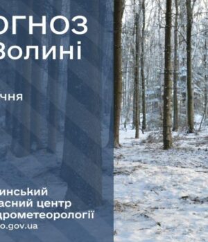 Якою-буде-погода-у-Луцьку-та-на-Волині-у-п’ятницю,-23-січня Якою-буде-погода-у-Луцьку-та-на-Волині-у-п’ятницю,-23-січня