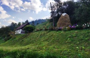 У які місця їздили та чого хотіли: що відомо про внутрішній туризм в Україні у... У-які-місця-їздили-та-чого-хотіли:-що-відомо-про-внутрішній-туризм-в-Україні-у.