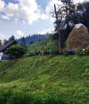 У-які-місця-їздили-та-чого-хотіли:-що-відомо-про-внутрішній-туризм-в-Україні-у.