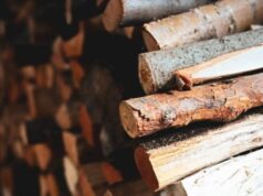 Ціни на дрова в січні 2026 року: скільки коштує куб і де брати волинянам офіційно Ціни-на-дрова-в-січні-2026-року:-скільки-коштує-куб-і-де-брати-волинянам-офіційно