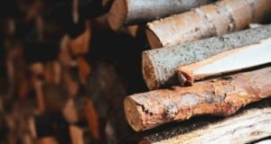 Ціни на дрова в січні 2026 року: скільки коштує куб і де брати волинянам офіційно Ціни-на-дрова-в-січні-2026-року:-скільки-коштує-куб-і-де-брати-волинянам-офіційно