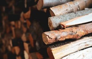 Ціни на дрова в січні 2026 року: скільки коштує куб і де брати волинянам офіційно Ціни-на-дрова-в-січні-2026-року:-скільки-коштує-куб-і-де-брати-волинянам-офіційно
