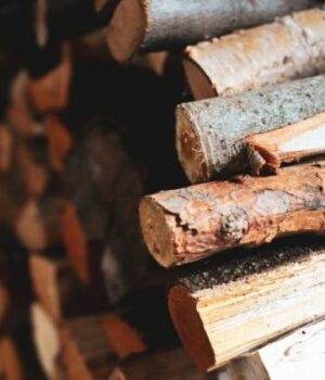 Ціни-на-дрова-в-січні-2026-року:-скільки-коштує-куб-і-де-брати-волинянам-офіційно Ціни-на-дрова-в-січні-2026-року:-скільки-коштує-куб-і-де-брати-волинянам-офіційно