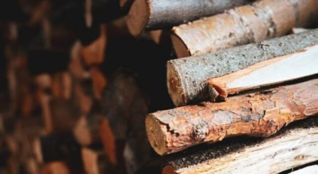 Ціни на дрова в січні 2026 року: скільки коштує куб і де брати волинянам офіційно Ціни-на-дрова-в-січні-2026-року:-скільки-коштує-куб-і-де-брати-волинянам-офіційно