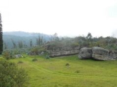 Скелет віком 5500 років підтвердив американське походження венеричної хвороби Скелет-віком-5500-років-підтвердив-американське-походження-венеричної-хвороби