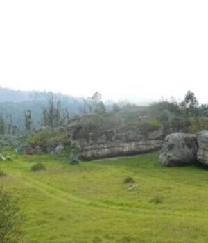 Скелет-віком-5500-років-підтвердив-американське-походження-венеричної-хвороби