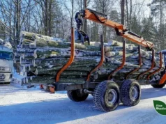 Попит на дрова злетів за день продали 8 тисяч кубів Попит на дрова злетів за день продали 8 тисяч кубів