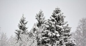 Погода на сьогодні: в Україні очікується потепління та сніг Погода-на сьогодні:-в Україні-очікується-потепління-та сніг