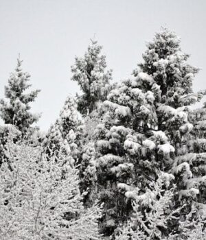 Погода-на сьогодні:-в Україні-очікується-потепління-та сніг Погода-на сьогодні:-в Україні-очікується-потепління-та сніг