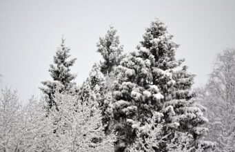 Погода на сьогодні: в Україні очікується потепління та сніг Погода-на сьогодні:-в Україні-очікується-потепління-та сніг