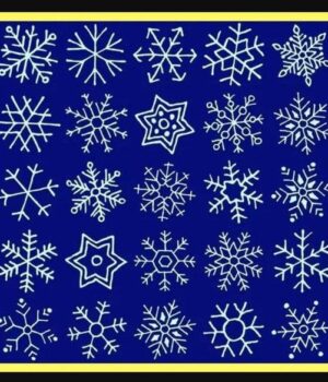 Оптична-головоломка:-спробуйте-знайти-дві-однакові-сніжинки