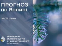 Якою буде погода у Луцьку та на Волині у суботу, 24 січня Якою-буде-погода-у-Луцьку-та-на-Волині-у-суботу,-24-січня