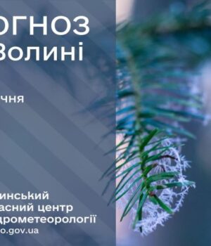 Якою-буде-погода-у-Луцьку-та-на-Волині-у-суботу,-24-січня Якою-буде-погода-у-Луцьку-та-на-Волині-у-суботу,-24-січня