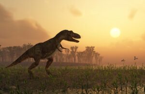 Вчені виявили найбільшу колекцію слідів динозаврів в Австралії: чим вони особливі Вчені-виявили-найбільшу-колекцію-слідів-динозаврів-в-Австралії:-чим-вони-особливі