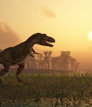 Вчені-виявили-найбільшу-колекцію-слідів-динозаврів-в-Австралії:-чим-вони-особливі