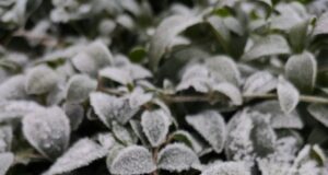 День ангела 24 січня: кого та як вітати з іменинами День-ангела-24 січня:-кого-та як вітати-з іменинами