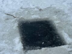 Частина ополонок у луцькому парку замерзла: чи є ризик мору риби Частина-ополонок-у-луцькому-парку-замерзла:-чи-є-ризик-мору-риби