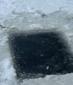 Частина-ополонок-у-луцькому-парку-замерзла:-чи-є-ризик-мору-риби