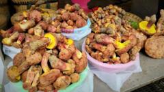 Таємничі гриби, які змушують людей бачити крихітних чоловічків Таємничі-гриби,-які-змушують-людей-бачити-крихітних-чоловічків