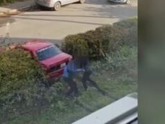 Авто витягували з кущів: у Луцьку на 34 тисячі оштрафували водійку, яка в’їхала в будинок... Авто-витягували-з-кущів:-у-Луцьку-на-34-тисячі-оштрафували-водійку,-яка-в’їхала-в-будинок.