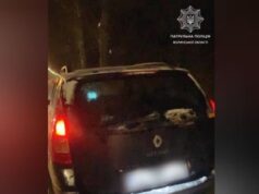 Застряг у заметі: у Луцьку патрульні виявили п’яного водія Застряг-у-заметі:-у-Луцьку-патрульні-виявили-п’яного-водія