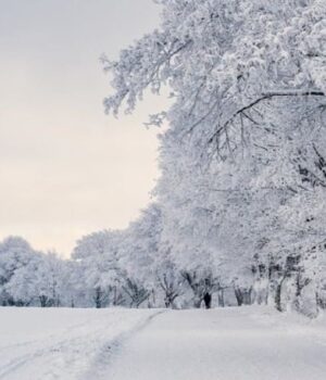 Якою-буде-погода-у-Луцьку-та-на-Волині-у-неділю,-25-січня