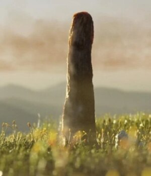 У-болотах-стародавньої-Землі-росли-8-метрові-“вежі”:-вчені-досі-не-знають,-що-це-таке У-болотах-стародавньої-Землі-росли-8-метрові-“вежі”:-вчені-досі-не-знають,-що-це-таке