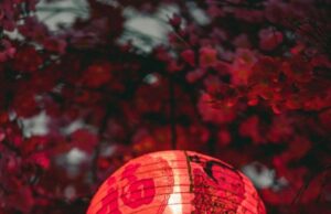 Шість знаків китайського зодіаку, яким 25 січня принесе удачу та легкість Шість-знаків-китайського-зодіаку,-яким-25 січня-принесе-удачу-та легкість