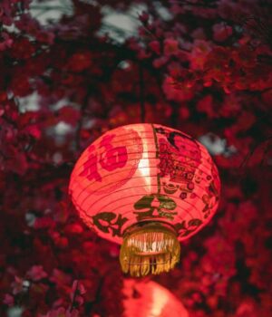 Шість-знаків-китайського-зодіаку,-яким-25 січня-принесе-удачу-та легкість Шість-знаків-китайського-зодіаку,-яким-25 січня-принесе-удачу-та легкість