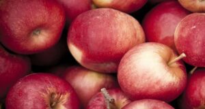 До кінця зими ціна на яблука може зрости до 15-20% До-кінця-зими-ціна-на-яблука-може-зрости-до-15-20%