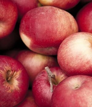 До-кінця-зими-ціна-на-яблука-може-зрости-до-15-20%